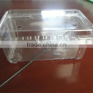 PET Plastic Transparent Boxes for Packing Strawberry thumbnail-5