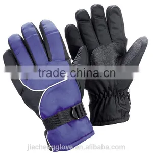 Ski Gloves; Thinsulate Ski Gloves thumbnail-1