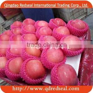 2 Layer Blush Red China Fuji Apple thumbnail-1