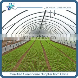 Greenhouse Spray Irrigation System for Vegetables Quality Choice thumbnail-3