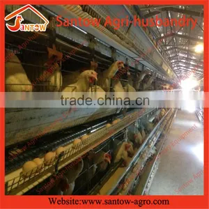 Stable Steel Structure Chicken Egg Layer Cage Broiler Breeder Farm thumbnail-6