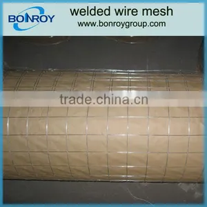11 Gauge Galvanized Welded Wire Mesh thumbnail-1