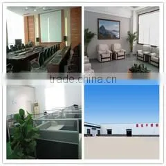 Shandong Dingyang Economic And Trade Co., Ltd. company overview - view 2 thumbnail