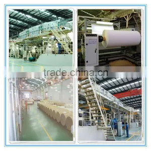 Paper and Pet Laminated Thermal Label Material Rolls for Baggage Tag and Logistic Labels thumbnail-3