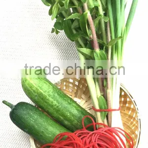 Rubber Bands for Vegetable and Flower by 100% Vietnam Natural Rubber thumbnail-1