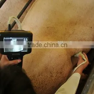Digital Vet Ultrasound Scanner Can Waterproof thumbnail-3