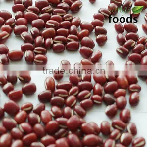 Azuki Bean 2014 thumbnail-1