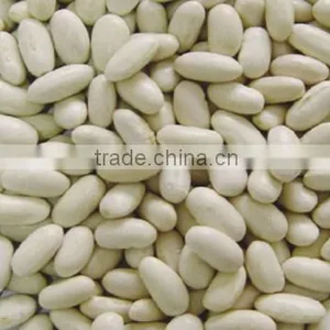 White Haricot Bean Ethiopia thumbnail-1