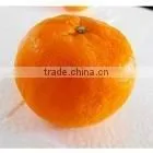 Mandarin Orange thumbnail-1