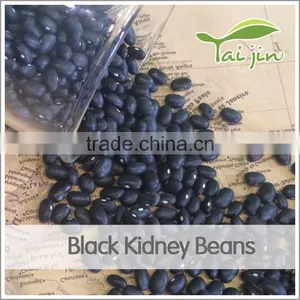 Crop 2015 White Kernel Black Kidney Beans thumbnail-1