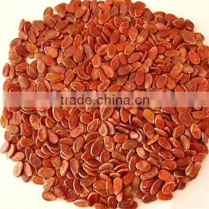 Big Size Red Watermelone Seeds in China thumbnail-1