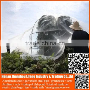 Plastic Agriculture pe Anti-insect Net , Hdpe Greenhouse Insect Net , Nylon Insect Net With Low Price thumbnail-4