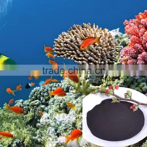 Bulk Sale Seaweed Extract Powder Fertilizer in the China thumbnail-1