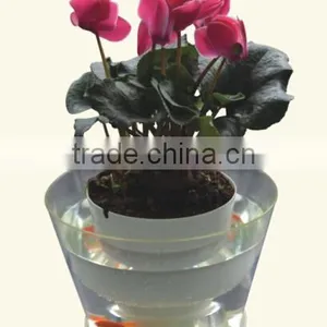 SMART FLOWER POT thumbnail-1