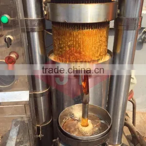 Ideal Function Sesame Oil Extruder Machine With Good Final Product thumbnail-5