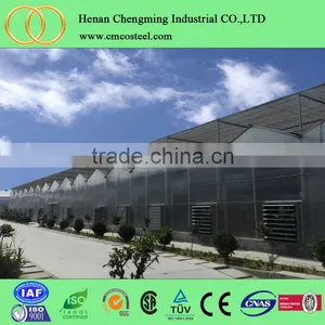 Steel Pipe Manufacturer Vegetable Greenhouse With Cost Price thumbnail-6