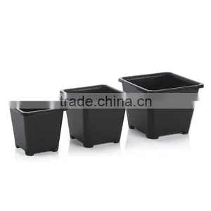 European Sqaure Pot thumbnail-2