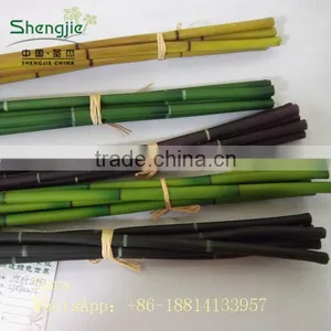 Indoor Foliage, Dracaena Sanderiana,Lucky Bamboo thumbnail-3