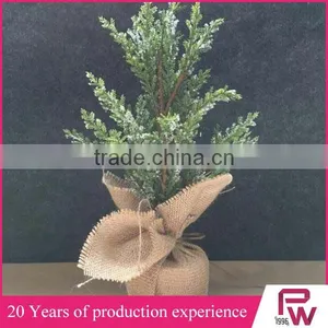 Factory High Quality Wholesale Small Decorative Pine Trees From China Supplier thumbnail-2