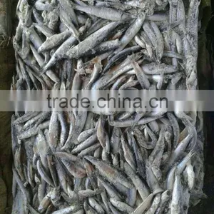 Hot Sales Landing Frozen Anchovy thumbnail-1