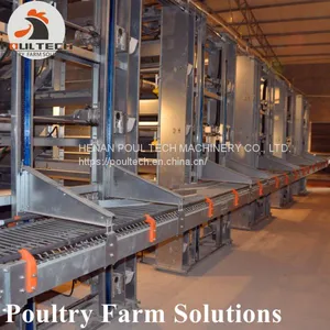 H Type Layer Chicken Chicken Cage With Full Automatic Equipment for 50000 Birds thumbnail-2