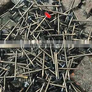 Springs Intake Exhaust Engine Valves For Rodeo RA Colorado RC 08-12 3.0L Diesel 4JJ1-TCX Denso 4jj1 D-max Toyota 2jz Gte 2jzgte thumbnail-3