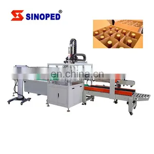 Fully Automatic Bottle Box Online Case Packing Machine for Bottles Bags Cans thumbnail-1