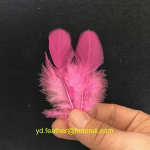 Pink,Sorted Chicken Feathers For Wholesale From China thumbnail-1