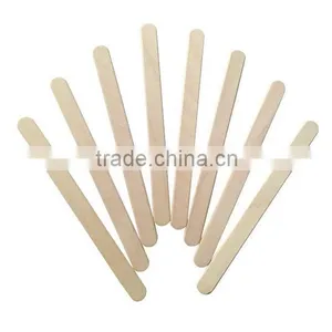 Ice Cream Stick House thumbnail-1