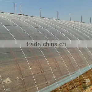 High Quality Plastic Greenhouse Film With Different Specification thumbnail-3