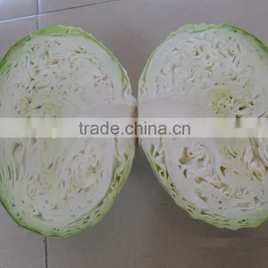 2014 Fresh Cabbage Hot Sale thumbnail-1