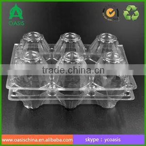 Clear Plastic 6holes Eggs Boxes thumbnail-6