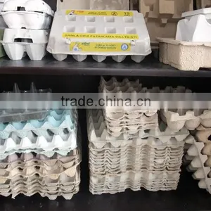 Paper Tray Making Machine for Egg Tray and Egg Box thumbnail-4