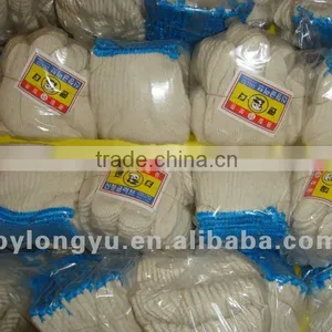 Cotton Work Gloves thumbnail-1