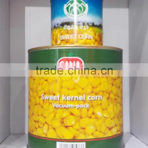 Export Canned Sweet Yellow Corn 340gx24tin thumbnail-4