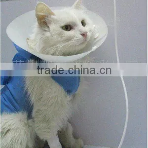 Pet Protection Collar thumbnail-1