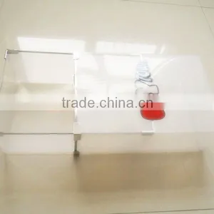 Clear Plastic Shoe Box thumbnail-4