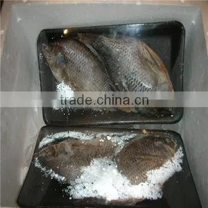 Pillow Type Frozen Seafood, Fish Shrink Packaging Machine thumbnail-3
