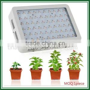Wholesale Red Yellow Spectrum Mini 300W Hydroponic Grow Light thumbnail-2