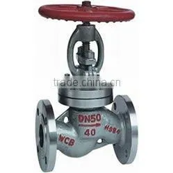 HOT Globe Valve thumbnail-1