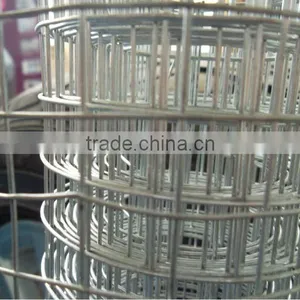 Electro Galvanized Welded Wire Mesh thumbnail-1