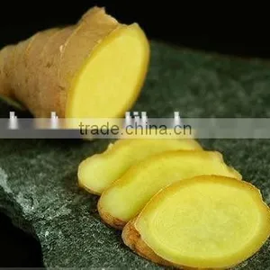 Chinese Fresh Ginger Export Price 2016 thumbnail-1