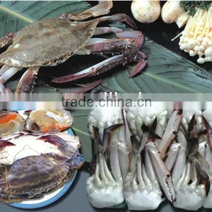 Frozen Crab thumbnail-1