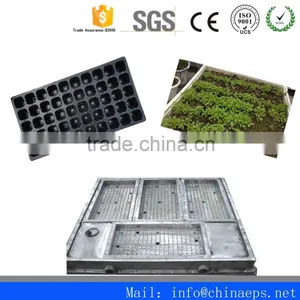 China Used Eps Plastic Injection Mould for Sales thumbnail-3
