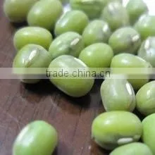 MUNG BEANS thumbnail-1
