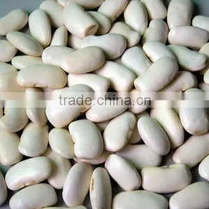 Big Size White Beans White Haricot Beans thumbnail-6