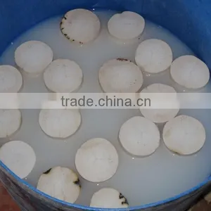 Fresh Young Coconut (Diamond/ Polish Shape) thumbnail-3