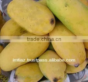 Pulpy Sindhri Mango From Pakistan thumbnail-1