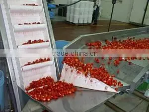 IQF/frozen Bulk Strawberries,Frozen/iqf Strawberry Price,frozen Strawberry thumbnail-1