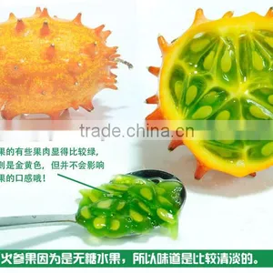 Hedged Gourd Melano Kewana Cucumis Metuliferus Seeds thumbnail-4